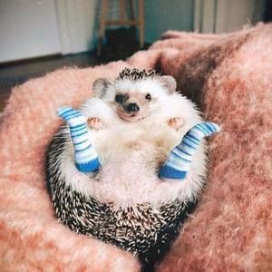 Meet your Posher, Laura